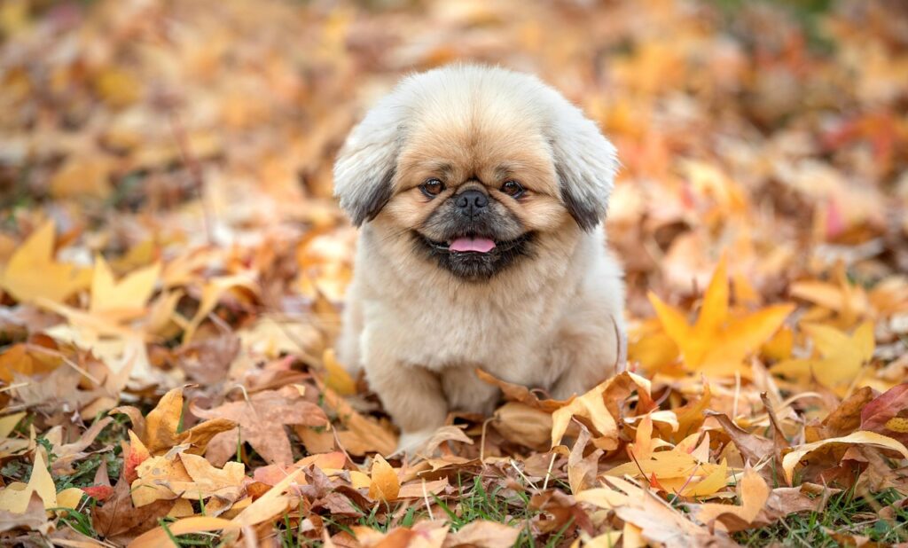 一万円を増やすための効果的な方法は？