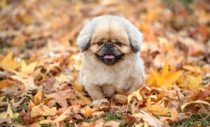 一万円を増やすための効果的な方法は？