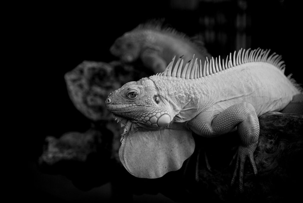 積立NISAで一万円から始める投資のメリットは？