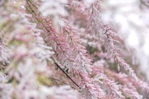 月1万の外貨積立で為替リスクを軽減する方法は？